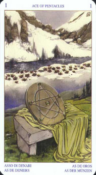 Ace of Pentacles in the deck Pagan Tarot