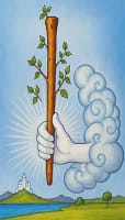 Ace of Wands Card