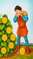 Seven of Pentacles Card