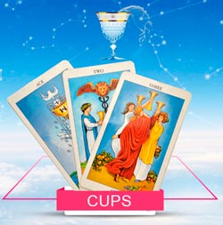 Cups Card