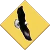 Eagle card