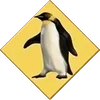 Penguin card