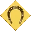 Horseshoe card