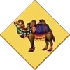 Camel card